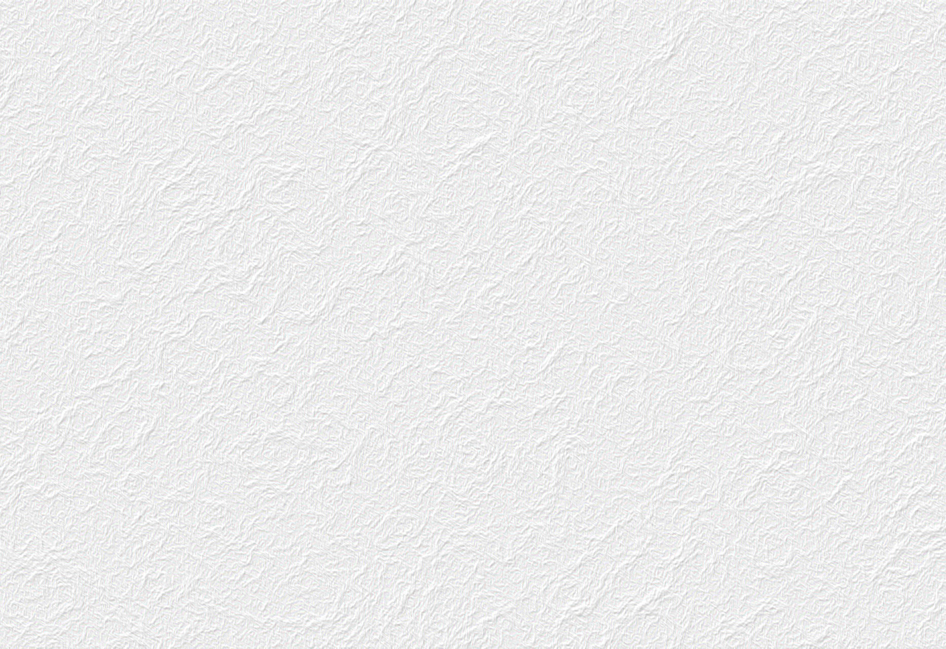 22024703_l.jpg