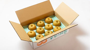 line_oa_chat_250805_095751.jpg
