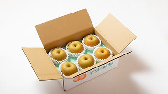 line_oa_chat_250805_095749.jpg